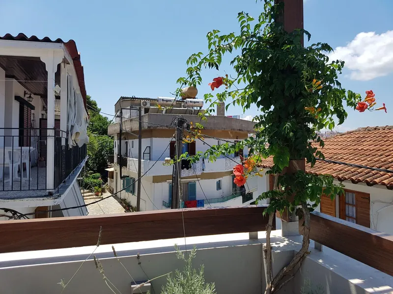 Λουλούδια στην ταράτσα και τα γύρω σπίτια